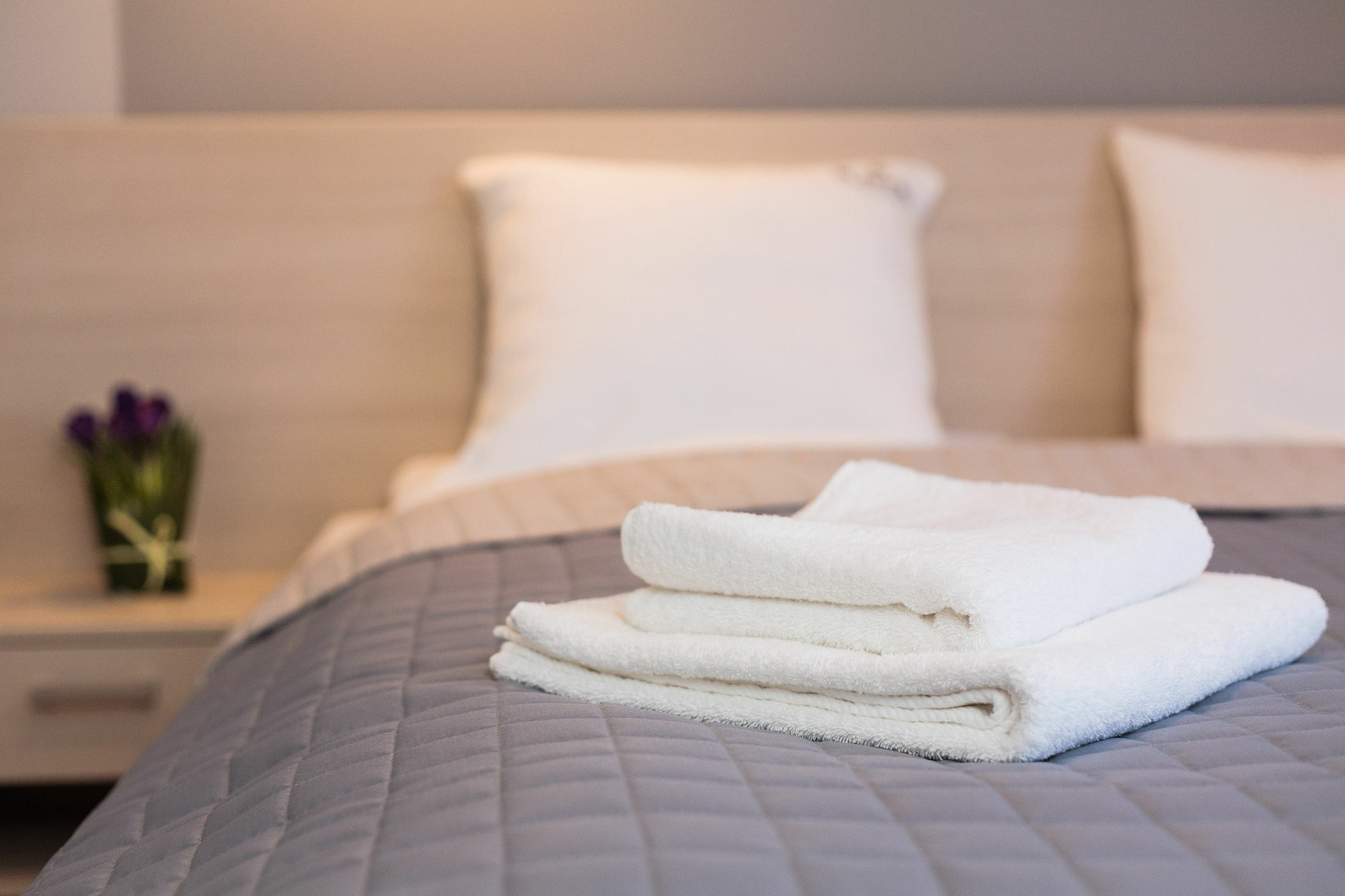 Apartamenty Platinia - Komfortowe Noclegi Krakow Stare Miasto Zewnętrze zdjęcie
